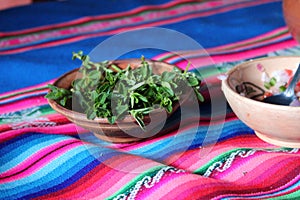 Peruvian Muna leaves for tea