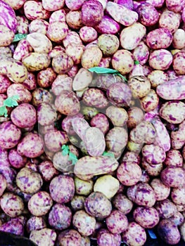 Peruvian potatoes `olluco` photo