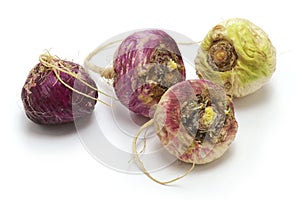 Peruvian superfood maca