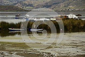 Peruvians in boats off the coast of Lake Titicaca, picking grass. Puno, Peru