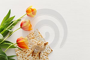 Pesah celebration concept jewish Passover holiday.