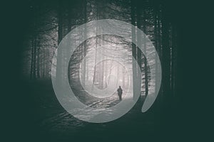 Peson walking in path of dark forest