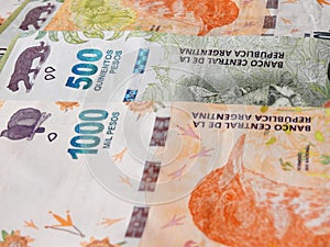Argentine pesos bills photo