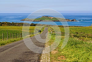 Pessegueiro island, Porto Covo, Portugal photo