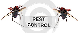 Pest control