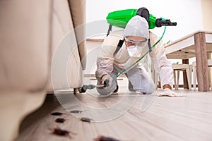 The pest control contractor working in the flat