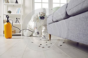 Pest control exterminator in protective suit killing cockroaches crawling of floor at home