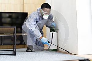 Pest Control Exterminator Services Spraying Termite