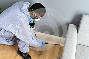 Pest Control Exterminator Services Spraying Termite