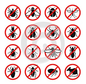 Parassita. dannoso insetti un roditori impostato icone. vettore illustrazioni 