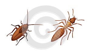 Pest Control and Parasite Extermination and Disinsection Service Vector Set