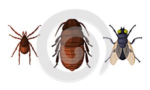 Pest Control and Parasite Extermination and Disinsection Service Vector Set