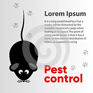 Pest control, rodent extermination, banner, flyer with your text