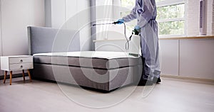 Pest Control Service. Bug Bed Treatment