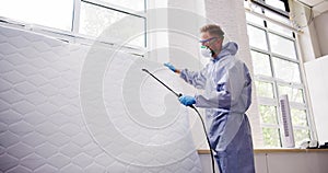 Pest Control Service. Bug Bed Treatment