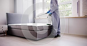 Pest Control Service. Bug Bed Treatment