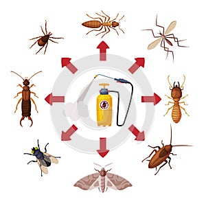 Pest Control Service, Pressure Sprayer of Chemical Insecticide and Harmful Insects Vector Illustration