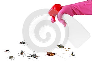 Pest control