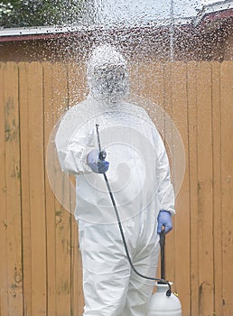 Pest Control Spraying