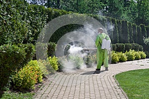 pest control worker fogging insecticide smoke outdoor garden eliminate mosquitoes, pest, mite, acarus, ticks