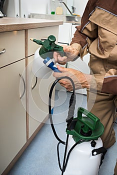 Pest control worker holding pesticides sprayer