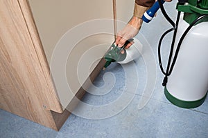 Pest control worker holding pesticides sprayer photo