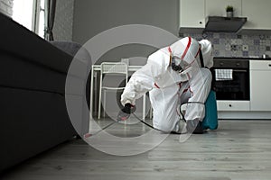 Pest control. A worker in a protective suit cleans the room from cockroaches with a spray gun, the sanitary service disinfects the