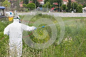 Pest control worker spraying insecticide photo