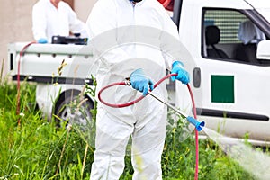 Pest control worker spraying insecticides or pesticides outdoors. Ragweed hay fever chemical treatment.