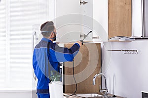 Pest Control Worker Spraying Pesticide In Kitchen