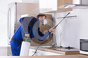 Pest Control Worker Spraying Pesticide In Kitchen