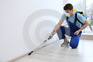 Pest control worker spraying pesticide. Space for text