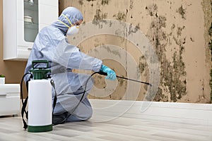 Pest Control Worker Spraying Pesticide On Wall