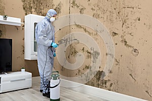 Pest Control Worker Spraying Pesticide On Wall