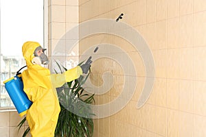 Pest control worker spraying pesticide on wall. Space for text