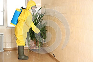 Pest control worker spraying pesticide on wall. Space for text