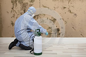 Pest Control Worker Spraying Pesticide On Wall With Sprayer