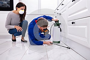 Pest Control Worker Spraying Pesticide On Wooden Cabinet