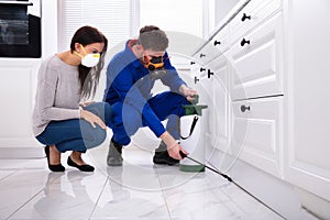 Pest Control Worker Spraying Pesticide On Wooden Cabinet