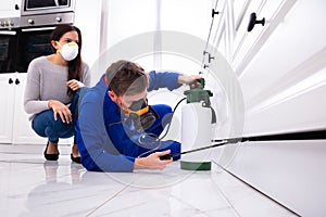 Pest Control Worker Spraying Pesticide On Wooden Cabinet