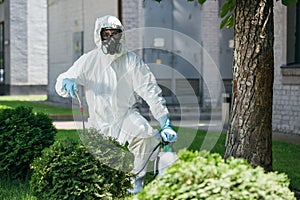 pest control worker in uniform spraying chemicals on bush