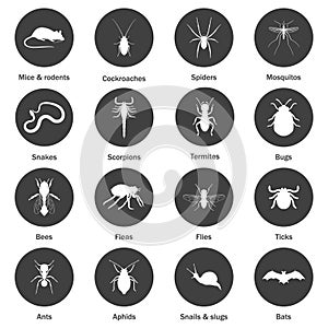 Pest and insect control icons set.