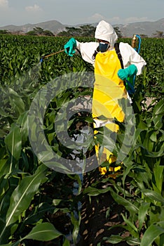 Farmer applying pesticides photo