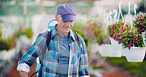 Pesticide sprayed on flowering plants at greenhouse