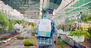 Pesticide sprayed on flowering plants at greenhouse