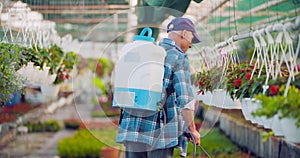 Pesticide sprayed on flowering plants at greenhouse