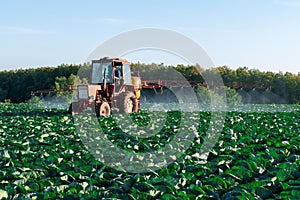 Pesticide sprayer tractor field farmer vegetables cabbage harvest greens