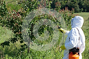 Pesticide spraying photo