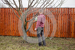 Pesticide treatment, pest control, insect extermination on fruit trees in the garden, spraying poison from a spray bottle