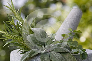 Pestle and mortar with herbs